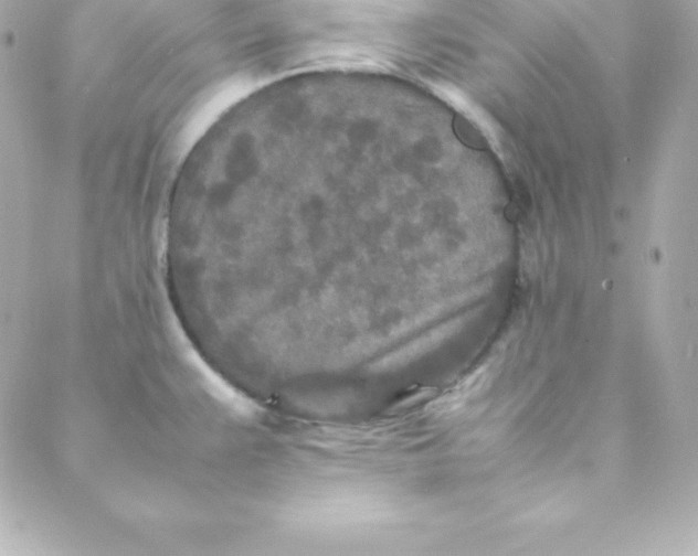 X0000088131383200705291322