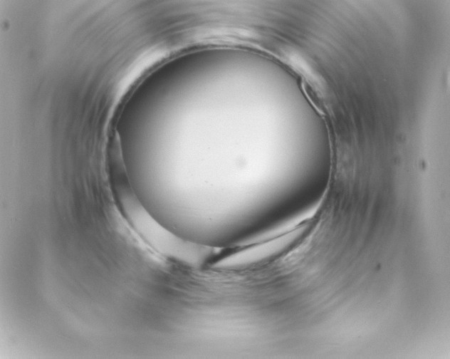 X0000088131384200705291322