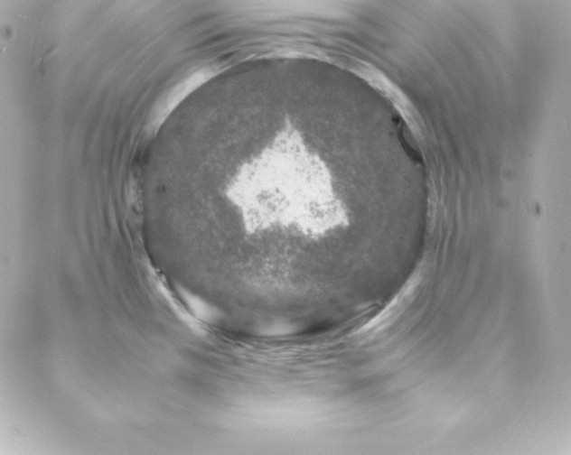 X0000088131385200705291322