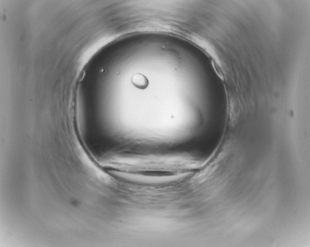 X0000088131387200705291322