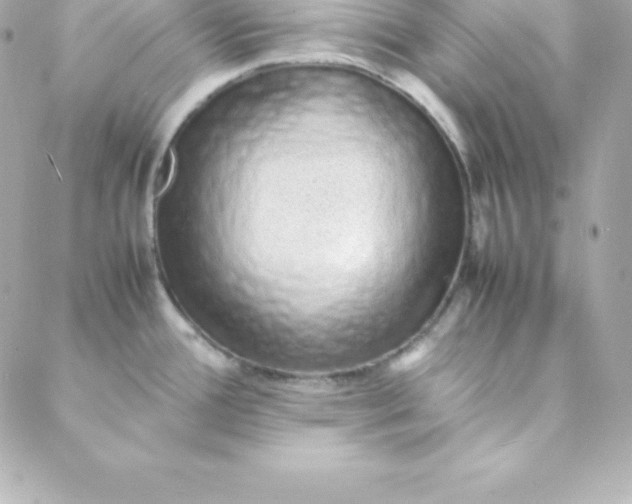 X0000088131388200705291322