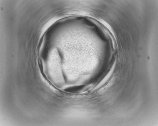 X0000088131389200705291322