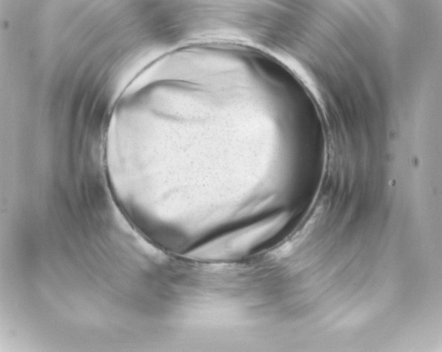 X0000088131390200705291322