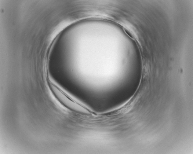 X0000088131391200705291322