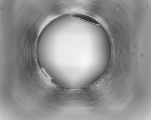 X0000088131392200705291322