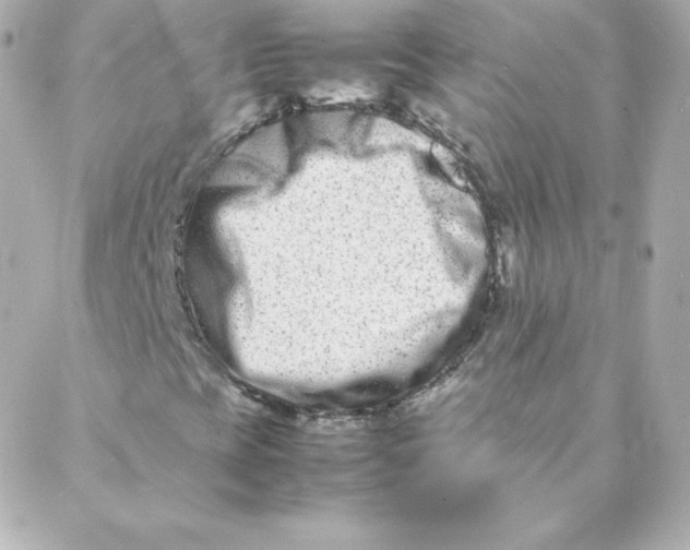 X0000088131393200705291321