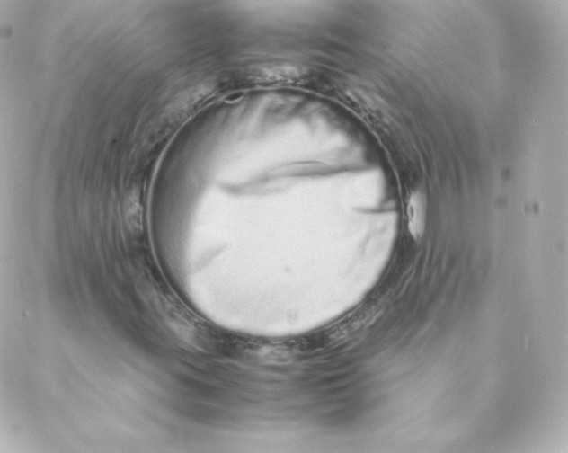 X0000088131395200705291321