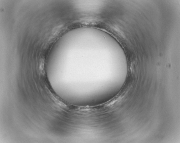 X0000088131396200705291321