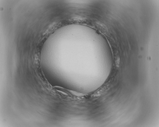 X0000088131397200705291321