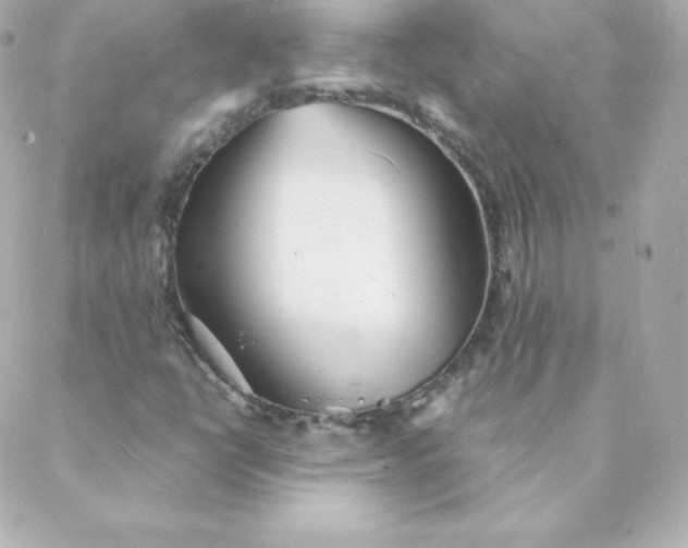 X0000088131398200705291321