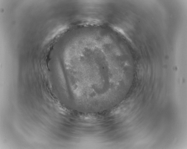 X0000088131399200705291321