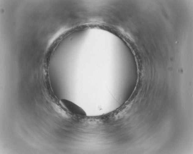 X0000088131400200705291321