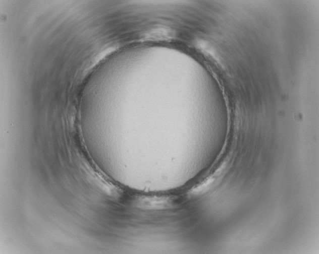 X0000088131401200705291321