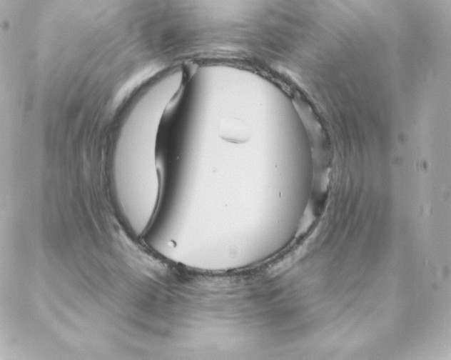 X0000088131402200705291321