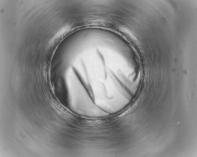 X0000088131403200705291321