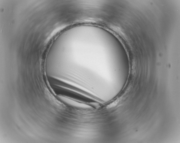 X0000088131404200705291321