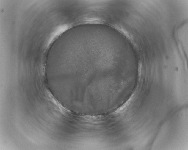 X0000088131405200705291321