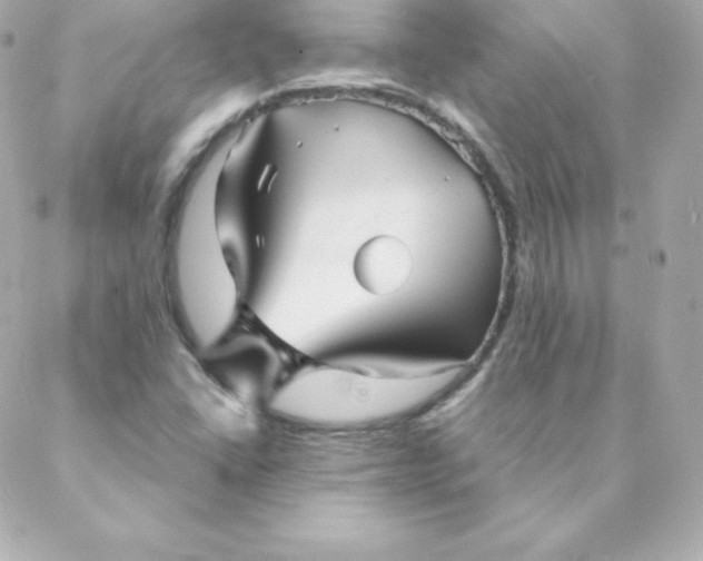 X0000088131406200705291321