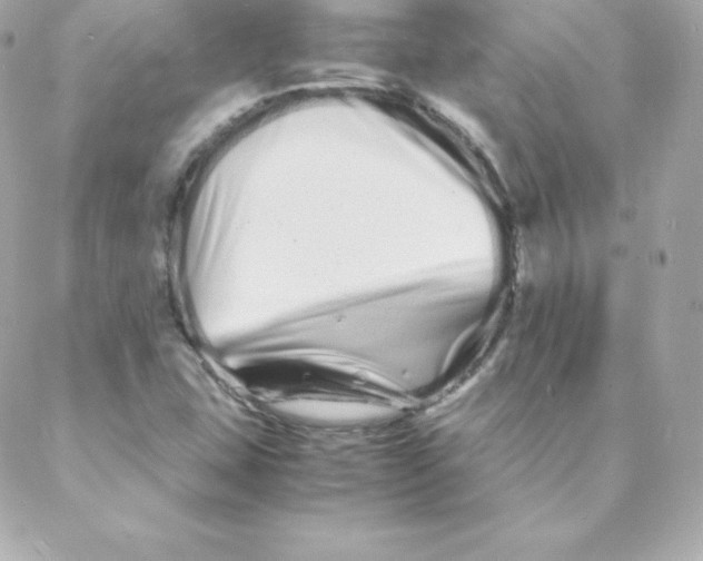 X0000088131407200705291321