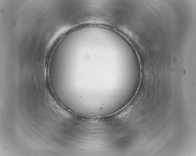 X0000088131408200705291321