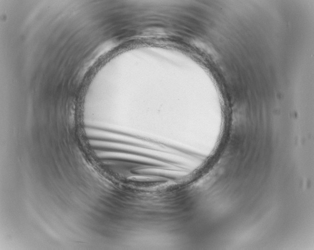 X0000088131409200705291321