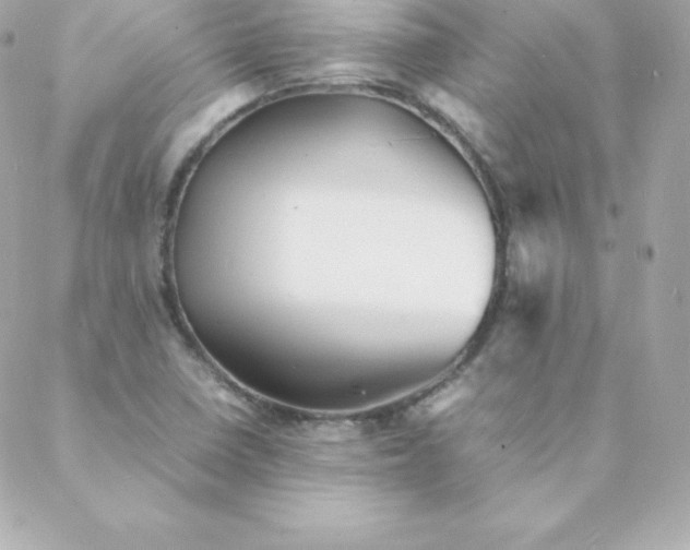 X0000088131410200705291321