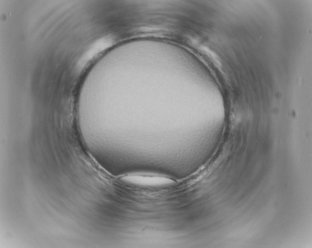 X0000088131411200705291321