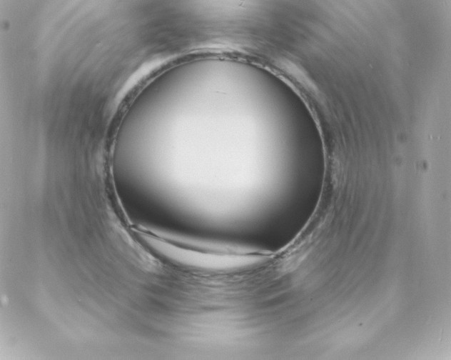 X0000088131412200705291321