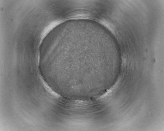 X0000088131413200705291321