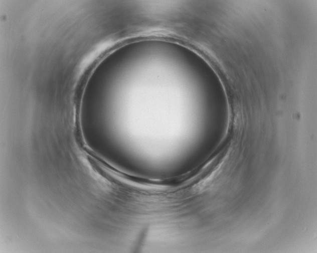 X0000088131414200705291321