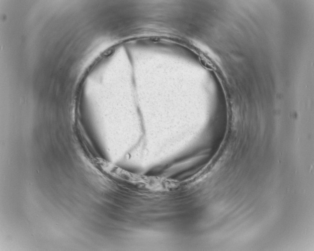 X0000088131415200705291321