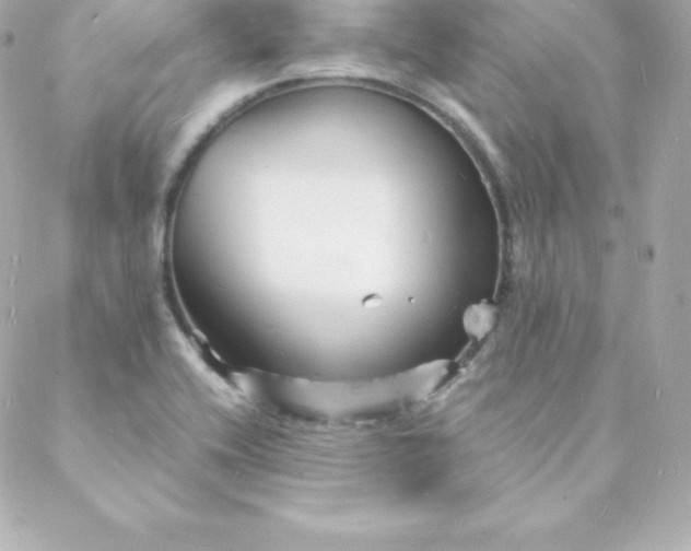 X0000088131416200705291321