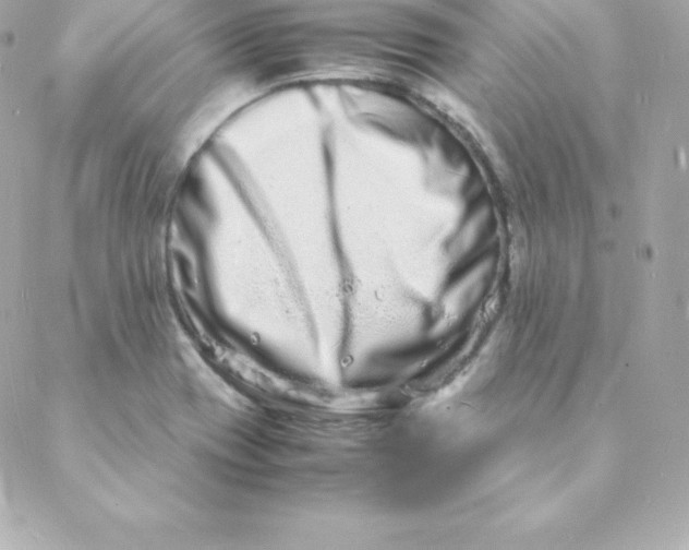 X0000088131417200705291321