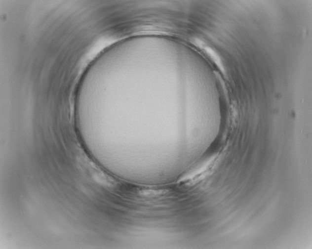 X0000088131419200705291321