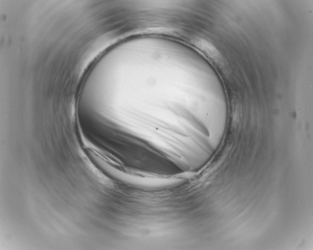 X0000088131420200705291322