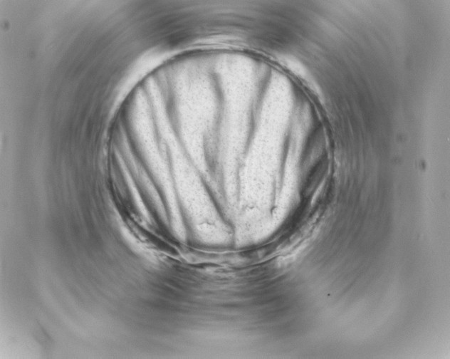 X0000088131421200705291322