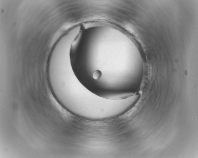 X0000088131422200705291322