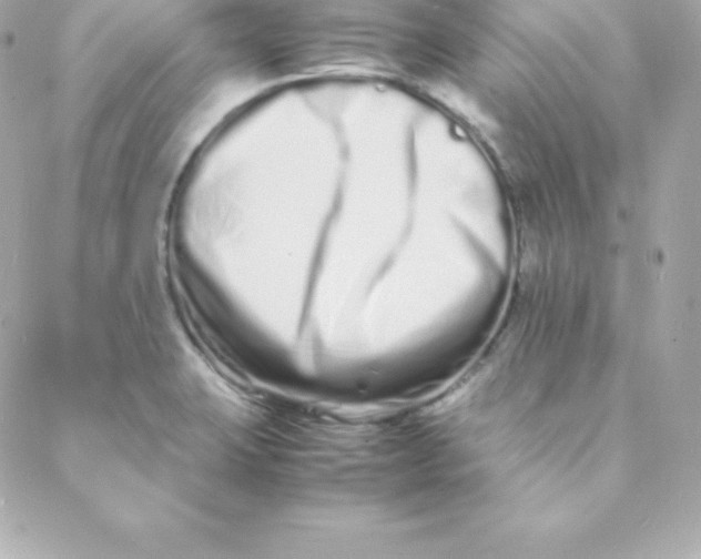 X0000088131423200705291322