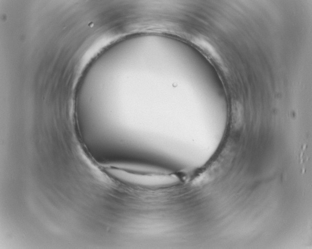 X0000088131424200705291322