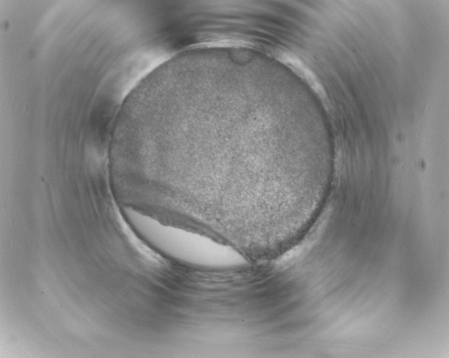 X0000088131425200705291322