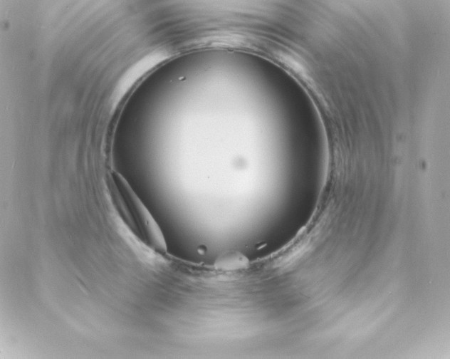 X0000088131426200705291322