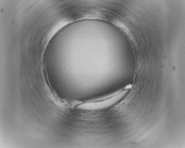 X0000088131427200705291322