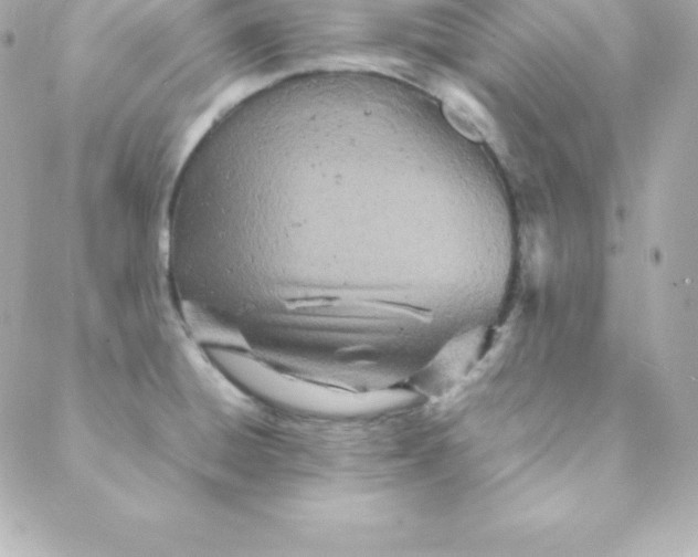 X0000088131428200705291322