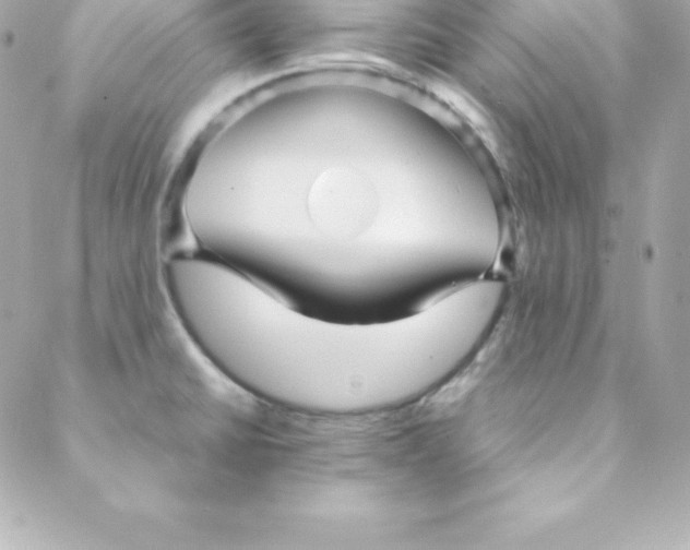 X0000088131430200705291322