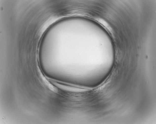 X0000088131431200705291322