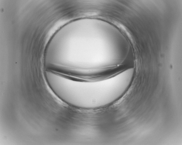 X0000088131432200705291322