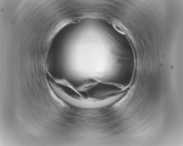 X0000088131433200705291322