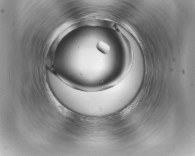 X0000088131434200705291322