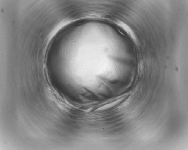 X0000088131435200705291322