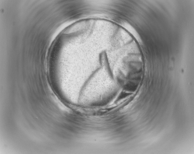 X0000088131436200705291322